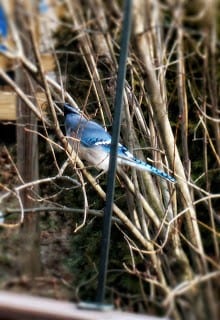 My no-matter-what Valentine