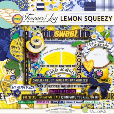 Lemon Squeezy page kit