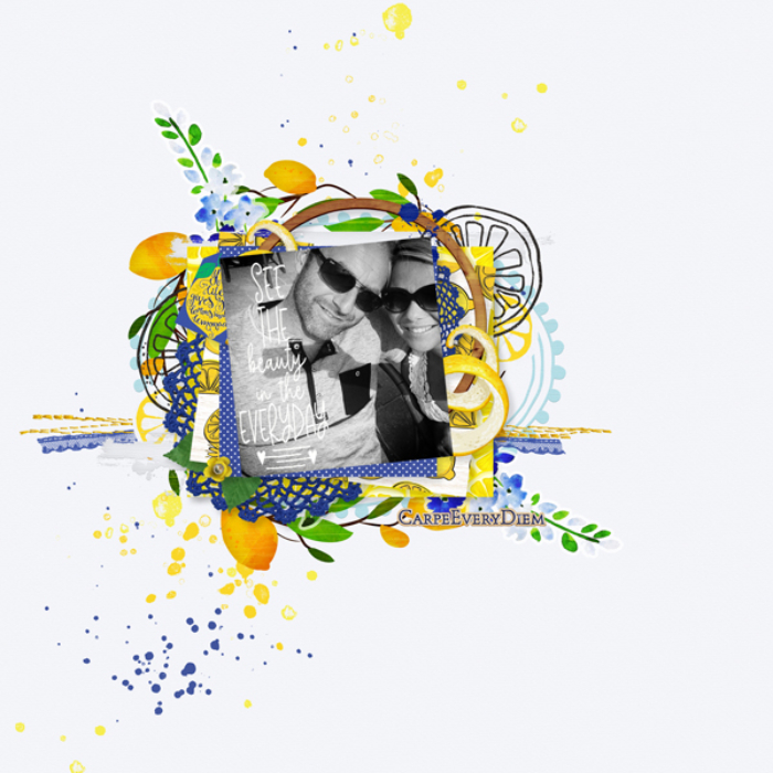 FJ-LEMON-SQUEEZY-PP-BONUS-6