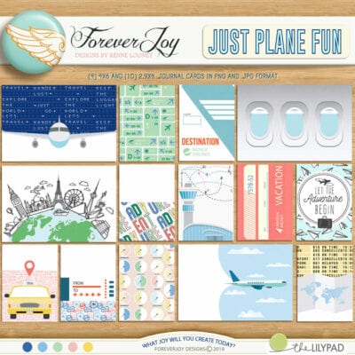 Just Plane Fun journal cards