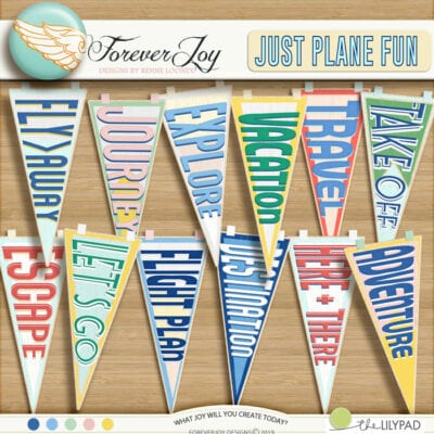 Just Plane Fun pennant pack