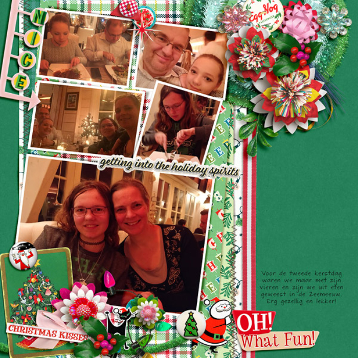 kerst-zeemeeuw-dec-2017
